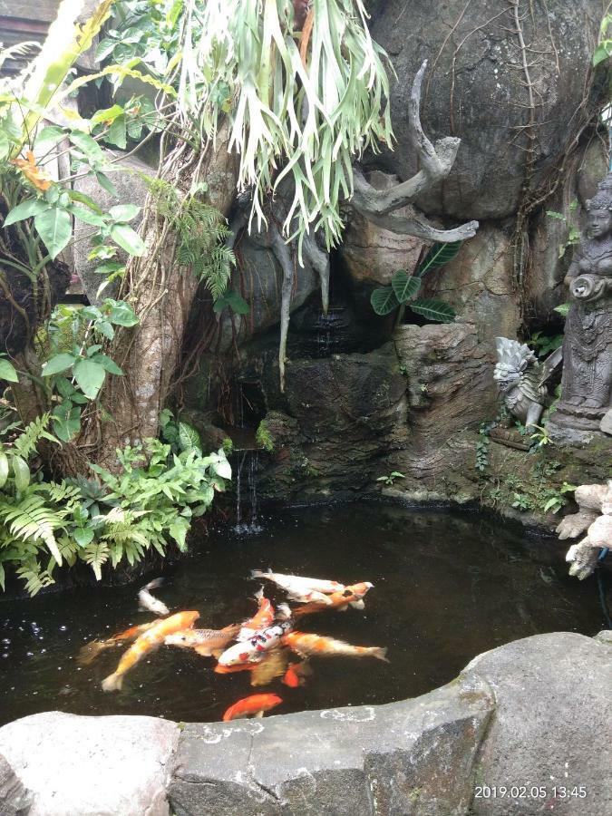 Dewi Antara Homestay Ubud Eksteriør billede